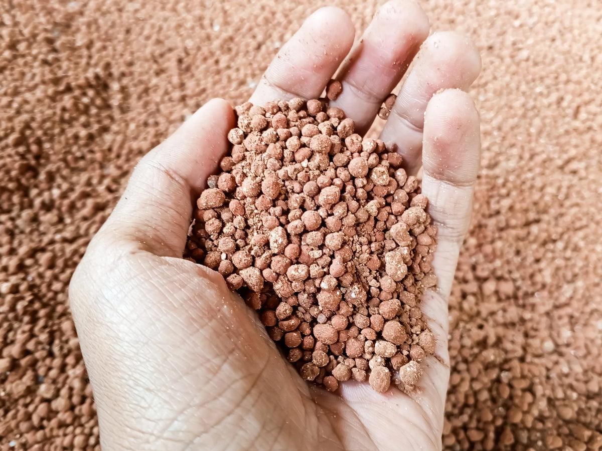 Heckendünger - Heckenpflanzen Thelen