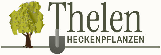 Heckenpflanzen Thelen
